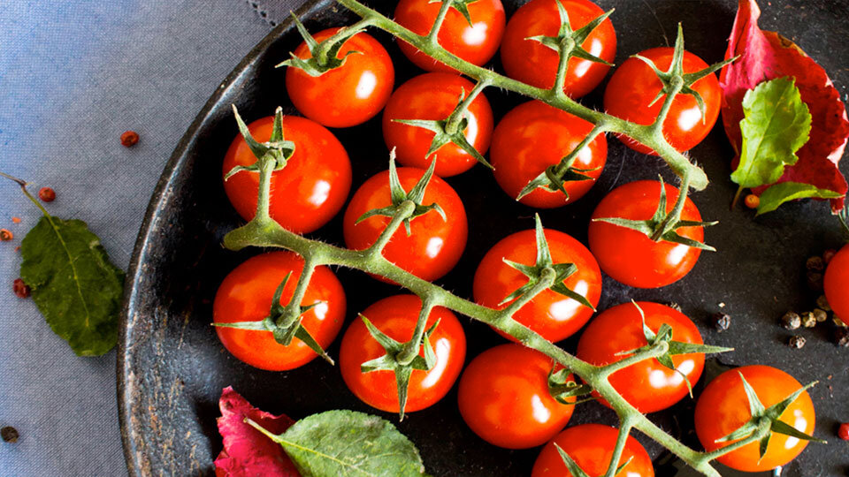 restaurants can reduce waste fresh tomatoes image
